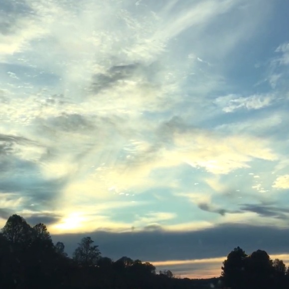 Meet your Posher, Lisa - Picture 7 of 8